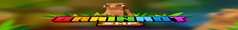 Brainrot SMP-Banner
