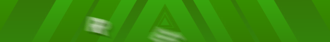 RevivalMC banner RevivalMC Minecraft server banner
