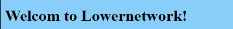 Lowernetwork-Banner