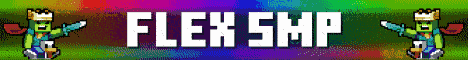 Flex SMP banner