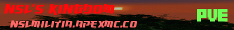 NSL Kingdom Minecraft server banner