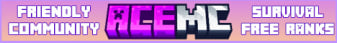 Ace MC-Banner