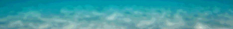 Atlantic Network Minecraft server banner
