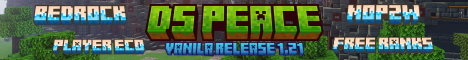 DSPeace-Banner
