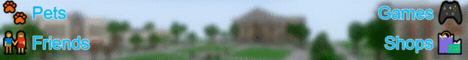 Social Life Minecraft server banner