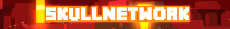 SkullNetwork-Banner