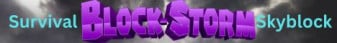 Block-Storm-Banner
