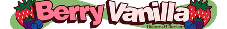 Berry Vanilla-Banner