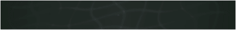WyvernMC-Banner