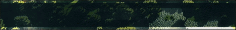 Rootbound banner