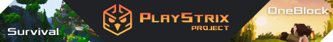 PlayStrix OneBlock-Banner