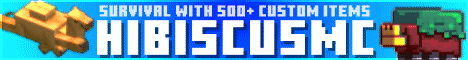 HibiscusMC-Banner