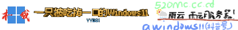 awindows11 server-Banner