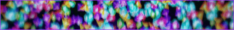 GameCube Network-Banner