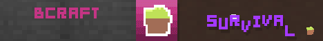 BCRAFT Minecraft server banner