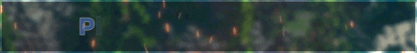 Pixel Pouch Network Minecraft server banner