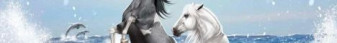 Canterlands-Banner