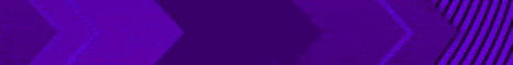 The Anarchy banner