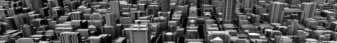 Viburnum-Banner