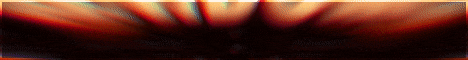 ElNidoSMP-Banner