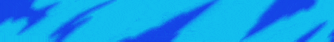 W Networks banner W Networks Minecraft server banner