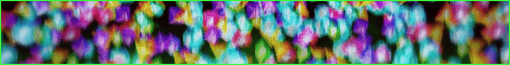 CloverMc banner