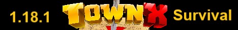 TownX-Banner