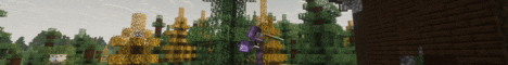 Freez banner