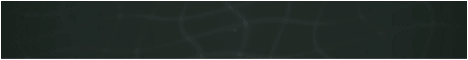 Cosmic Lotus-Banner