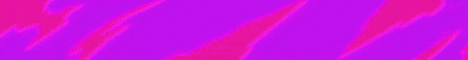 EvoSMP-Banner