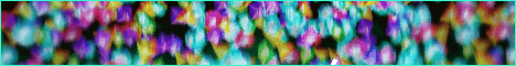 GoSMP banner