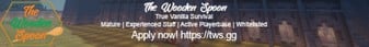 The Wooden Spoon-Banner