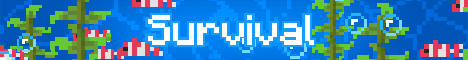 Beach Craft-Banner