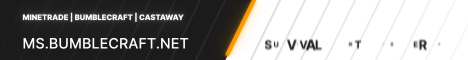 BumbleCraft-Banner