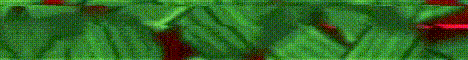 AppleMC banner