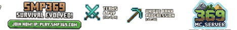 369 SMP-Banner