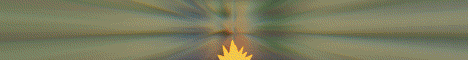PokeWild-Banner