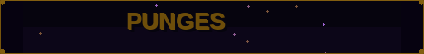 Punges-Banner
