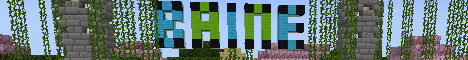 Baine SMP-Banner