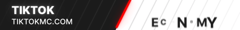 tiktok Minecraft server banner