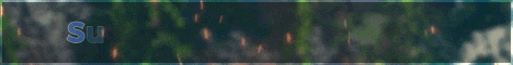Sunny Horizons Network banner