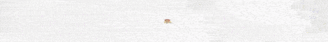 Empire Legacy banner Empire Legacy Minecraft server banner