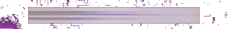 CobbleX-Banner