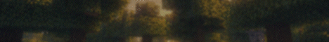 Quokka SMP-Banner