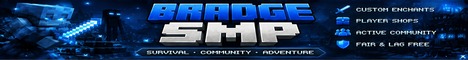 Bradges Server banner