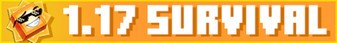 Sunny Survival-Banner