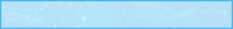 FlayerNET Minecraft server banner