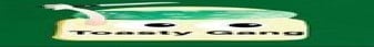 ToastyGangMC, Survival, Creative, Skyblock banner