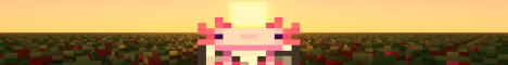 Seaberria-Banner