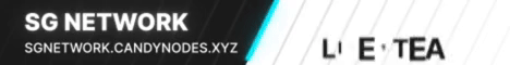 SG Network Minecraft server banner